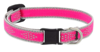 LupinePet Animal Collar