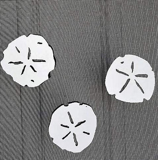 DCentral Decorative Magnet, 4.5*2.5 inches, White