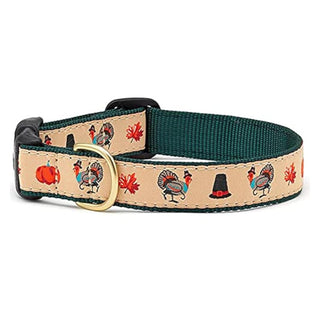 Up Country Animal Collar, LG (fits necks 15" - 21"), Orange