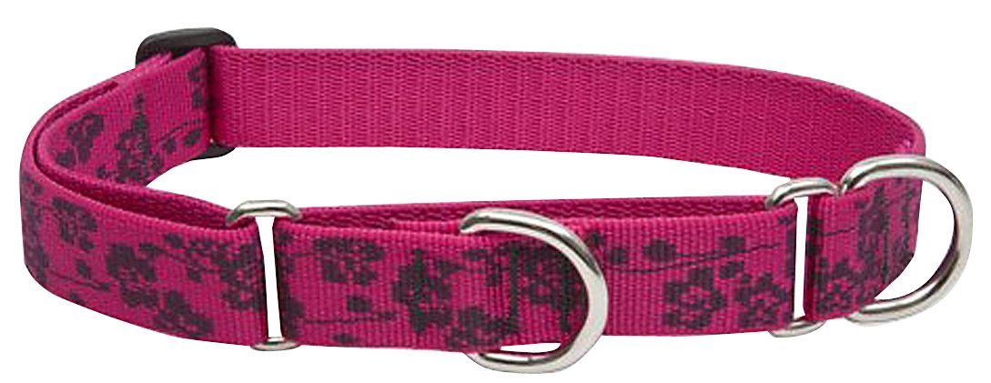 LupinePet Animal Collar