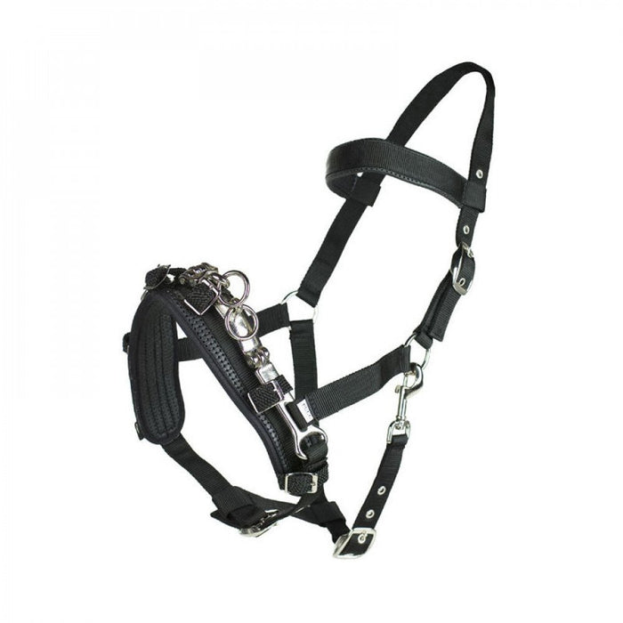 Horze Nylon Lunging Cavesson - Black - Horse