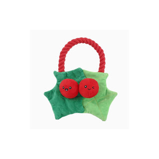 HugSmart Pet Toy, 8.5"x7"x3.5", Multicolor