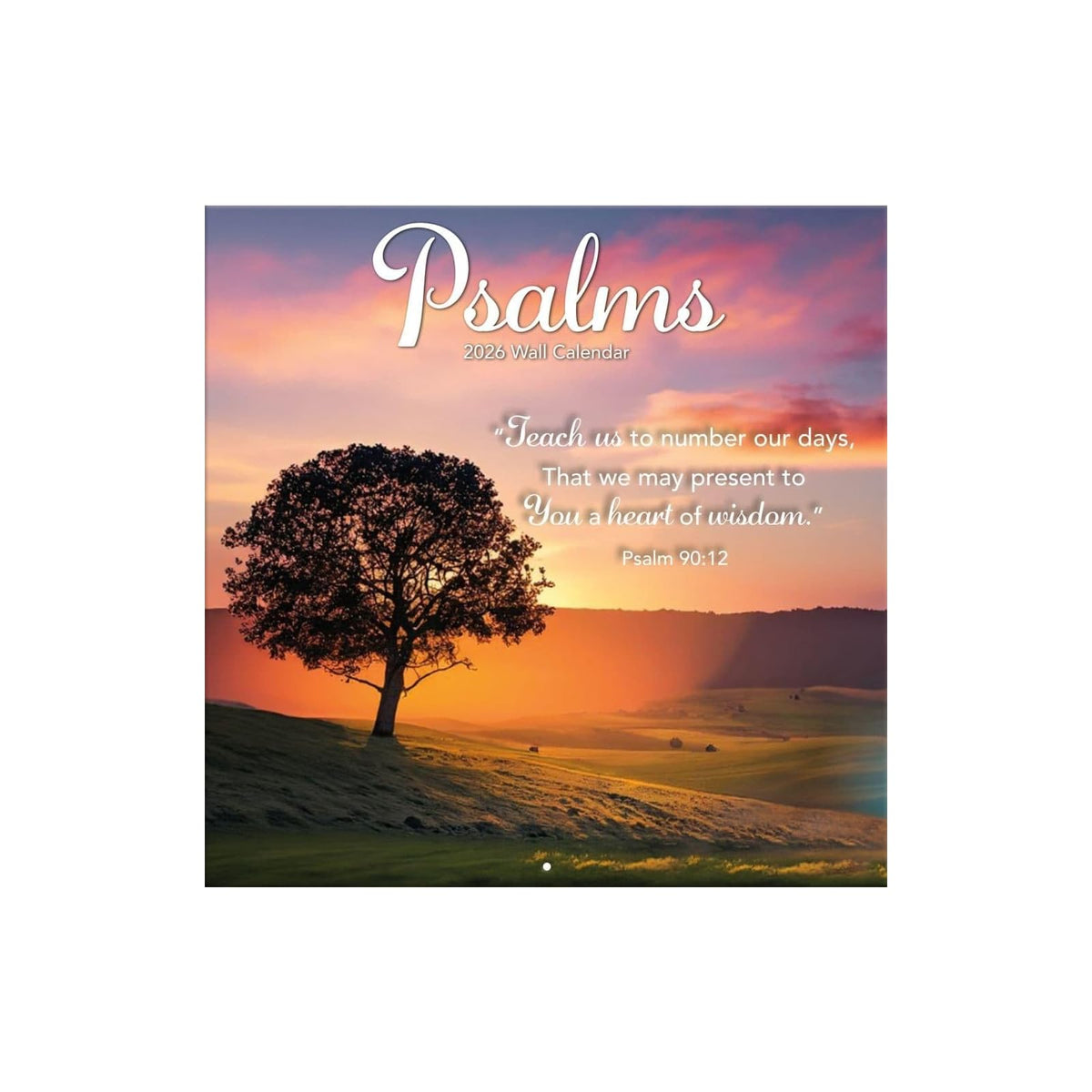 TURNER PHOTOGRAPHIC Calendar, 12"W x 0.1"H, 2026