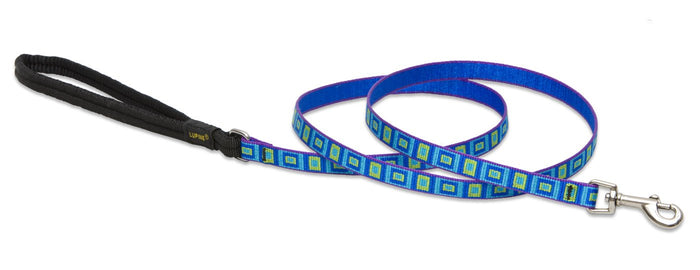 LupinePet Originals 1/2" Sea Glass 4-foot Padded Handle Leash for Small Pets