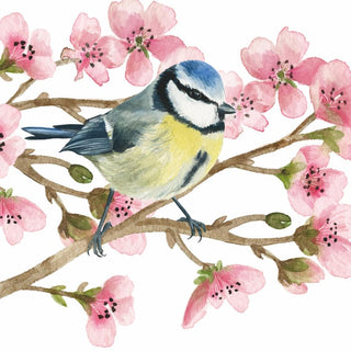 Paperproducts Design Disposable Napkin, 5" x 5", Oiseau Printemps
