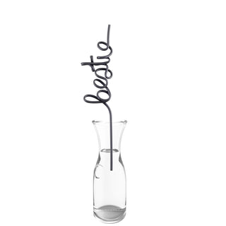 Santa Barbara Design Studio Drinking Straw, 11-Inch, Bestie