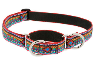 LupinePet Animal Collar, 1" wide; 15-22" around, El Paso