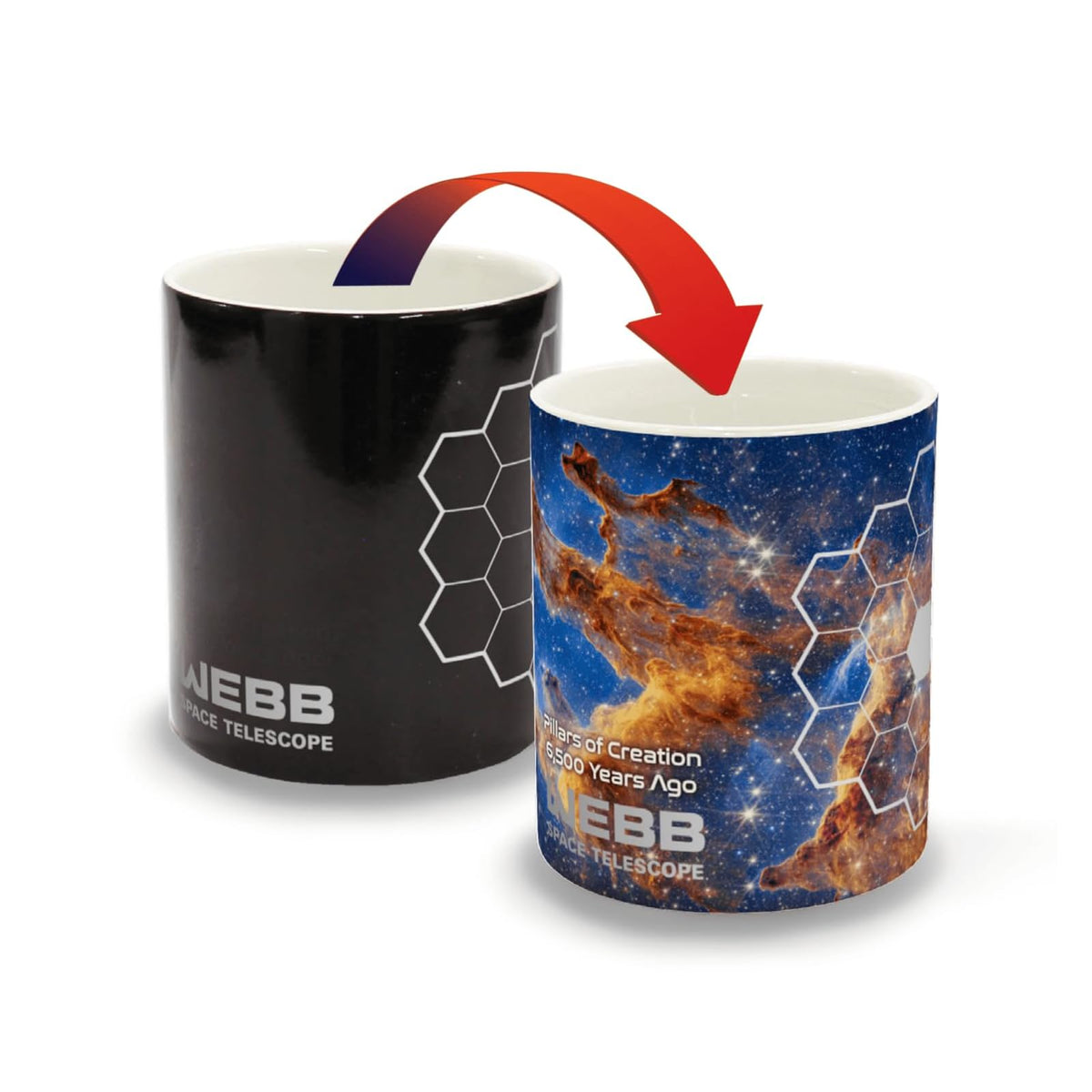 The Mug Experience Drinking Cup
