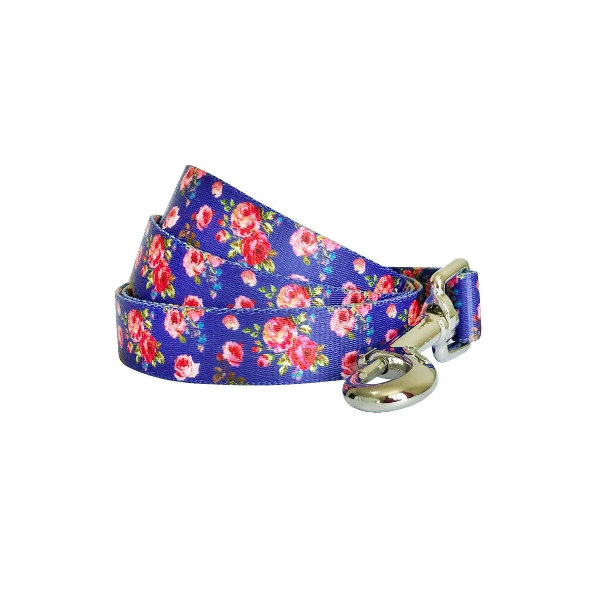 Blueberry Pet Leash, Medium, Irish Blue
