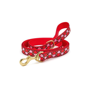 Up Country Leash