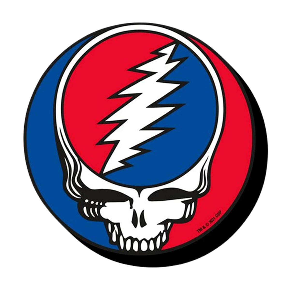 AQUARIUS Decorative Magnet, Grateful Dead Skull, Magnet