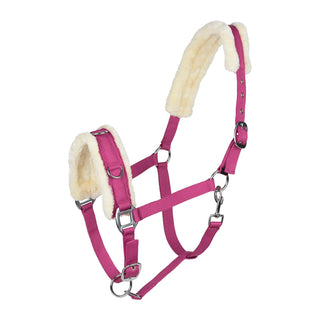HORZE Pet Supplies, Horse, Raspberry Pink