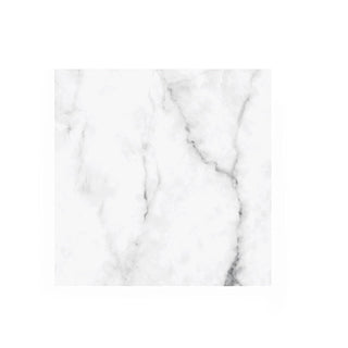 Harman Disposable Napkin, Silver,White