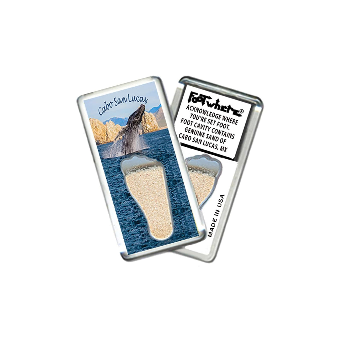 FootWhere Decorative Magnet, Small, Csl205 - Whale Watch