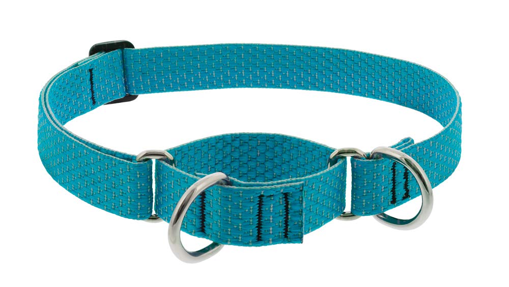 Lupine Martingale Dog Collar ECO Collection 1" Wide Tropical Sea adjusts 15" to 22"