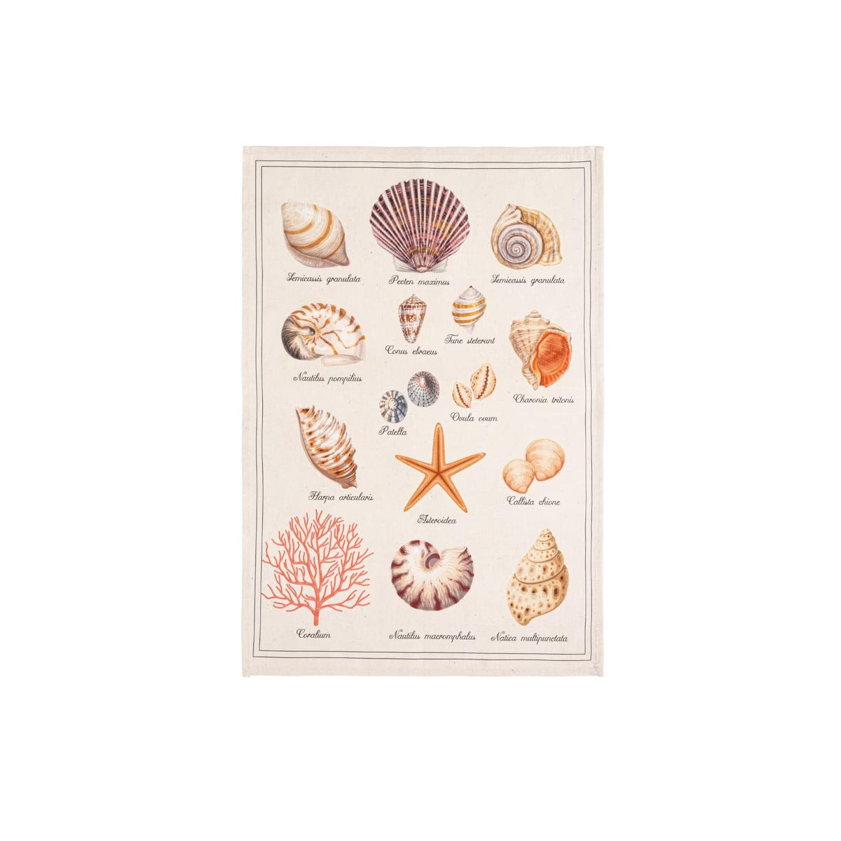 COUCKE Towel, 20 inches x 20 inches, Modern