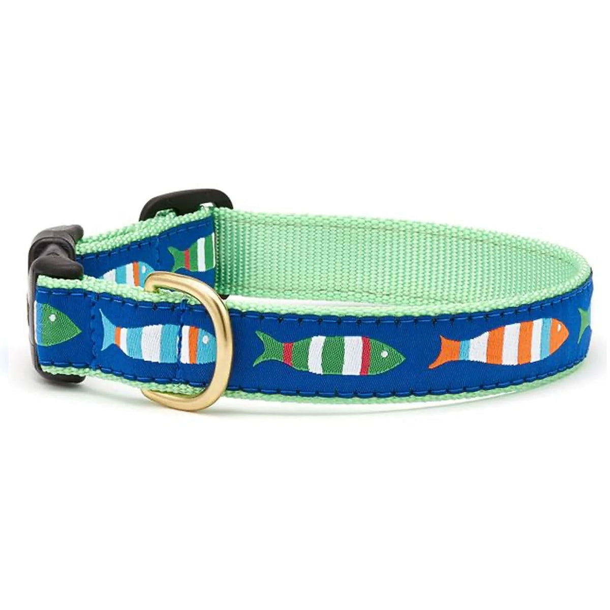 Up Country Animal Collar, XLarge 18-24” Wide 1”, Multicolor