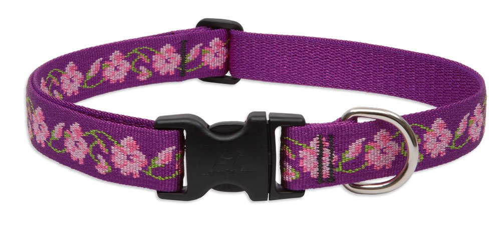 LupinePet Animal Collar, 1"W; 16-28" Neck, Purple, Pink
