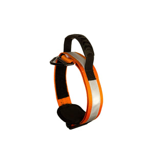 Fusion Animal Collar