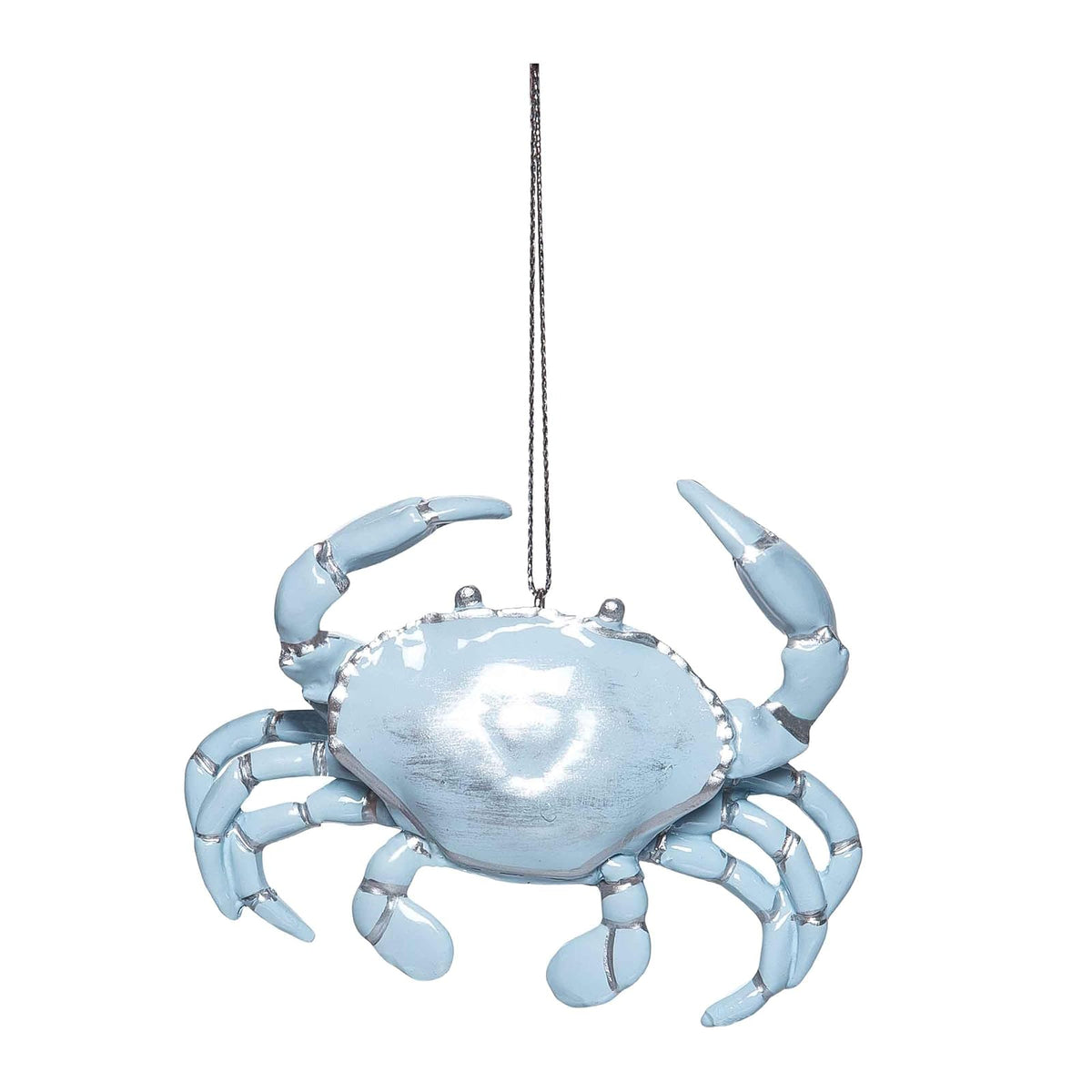 Beachcombers Hanging Ornament, Blue