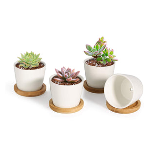 T4U Planter, Small, White