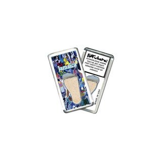 FootWhere Decorative Magnet