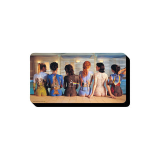 AQUARIUS Decorative Magnet, Small, Multi Color