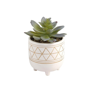 Flora Bunda Artificial Plant, 4.25" Succulent 3,white/Gold W Legs
