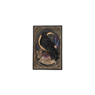 Pacific Giftware Storage Box, Black/Brown, Gothic