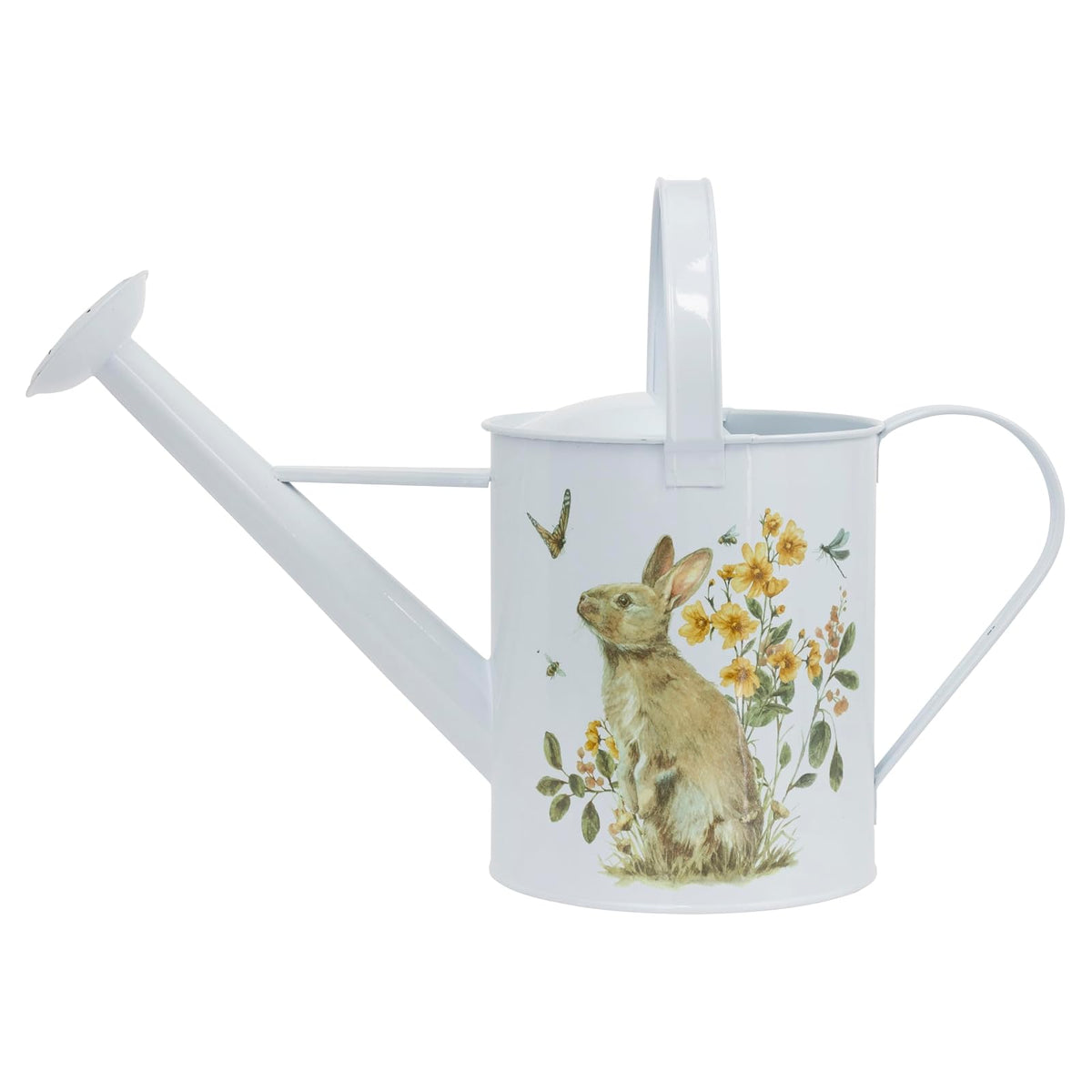 Boston International Watering Can