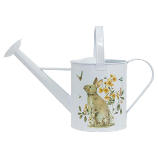 Boston International Watering Can