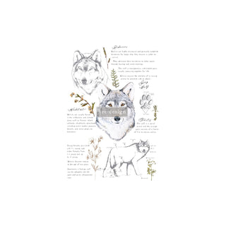 PRIMA MARKETING INC Iron On Transfer Design, Gray Wolf