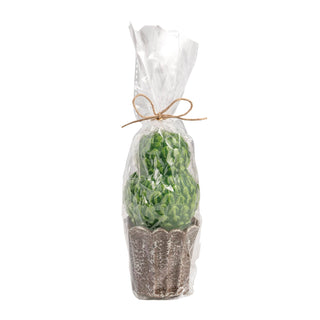 Mud Pie Candle, 5" x 2 1/4", Double Round Topiary