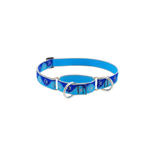 LupinePet Animal Collar, 1"w; 19-27", Blue