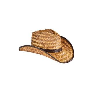 Rhode Island Novelty Costume Headwear, One Size, Brown
