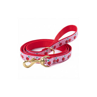 Up Country Leash