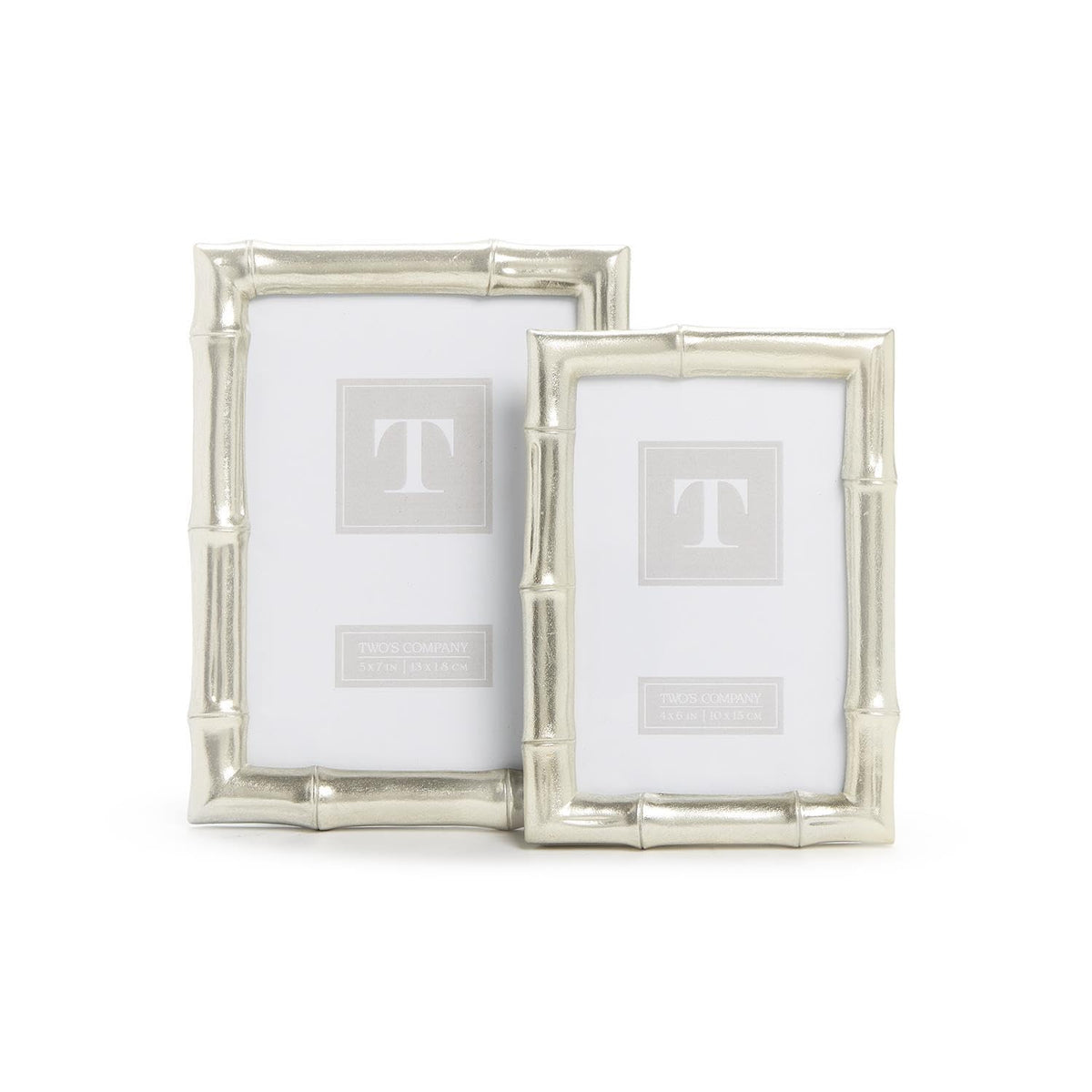 Two's Company Picture Frame, 4x6, 5x7, Silver
