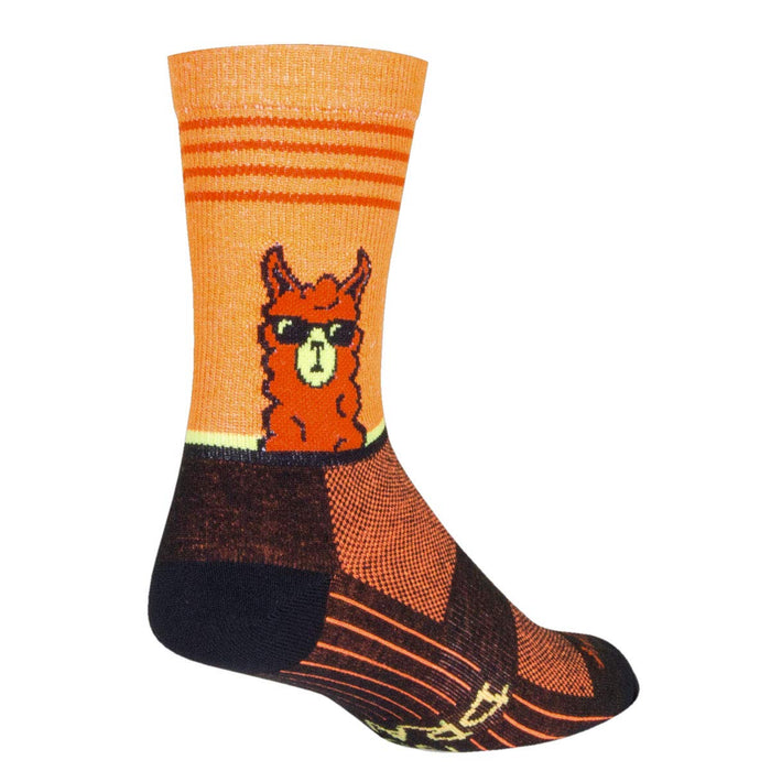 SockGuy Socks, Multicolor, Socks