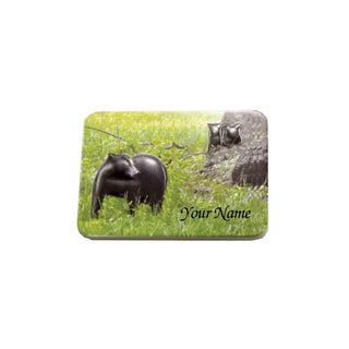 Lipco Decorative Magnet, Multi Color