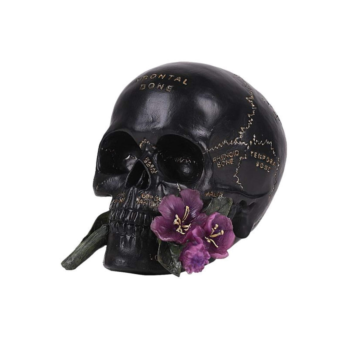 Pacific Giftware Sculpture, 6.75" x 5" x 5.25", Black