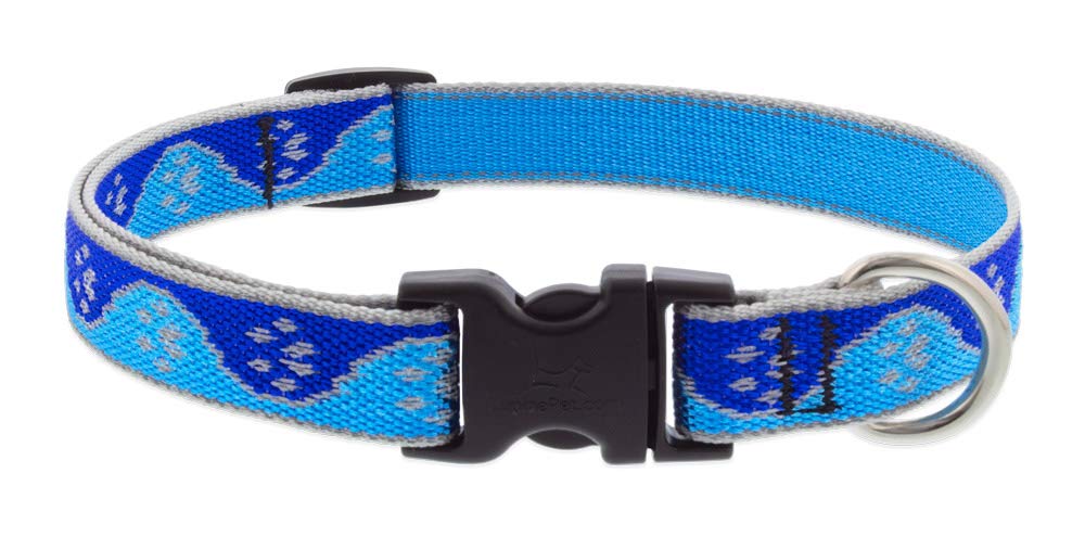 LupinePet Animal Collar, 3/4"w; 13-22", Blue
