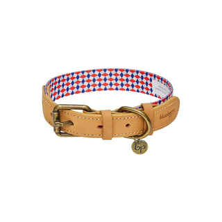 Blueberry Pet Animal Collar, Medium, Geometric Squares