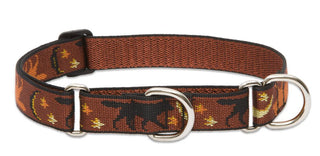 Lupine Pet Originals 1" Shadow Hunter 15-22" Martingale Collar for Medium and Larger Dogs