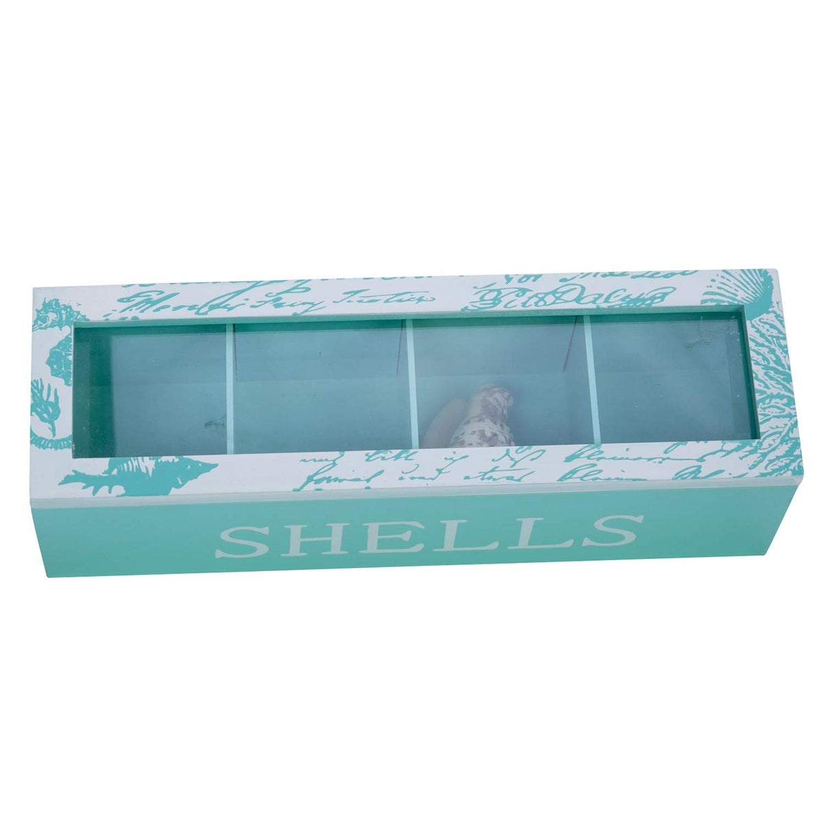 Beachcombers Wooden Rectangle Collecting/Display Box - Shell