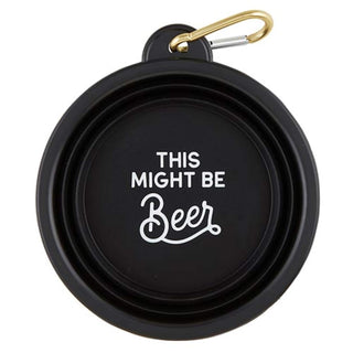 Santa Barbara Design Studio Pet Feeder
