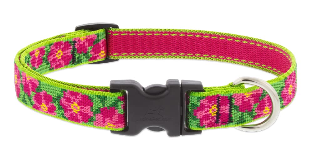 LupinePet Animal Collar