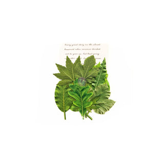 PRIMA MARKETING INC Artificial Plant, Flowers, Green