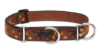 Lupine Pet Originals 1" Shadow Hunter 19-27" Martingale Collar for Large Dogs