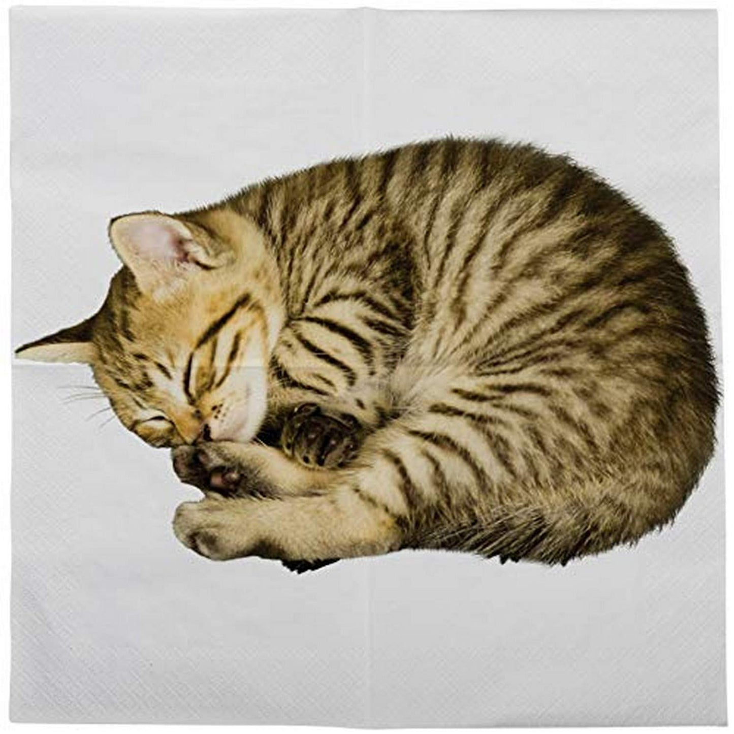 Esschert Pack of 20 Cat Napkins