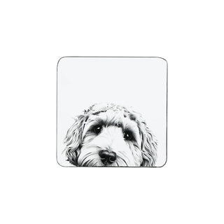 Pavilion Gift Company Drink Coaster